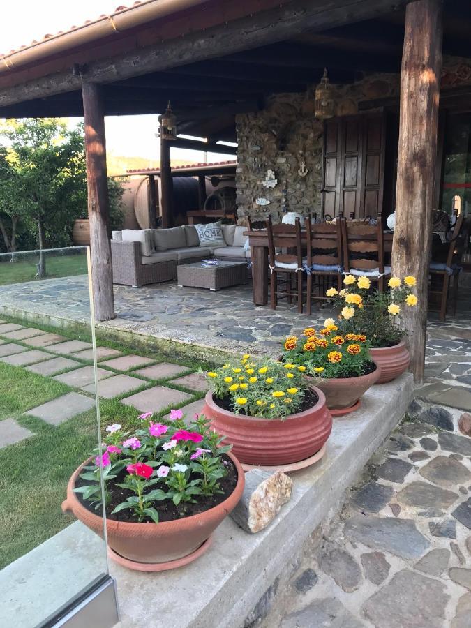 Villa Casa Avocado 테브로노이티스 외부 사진